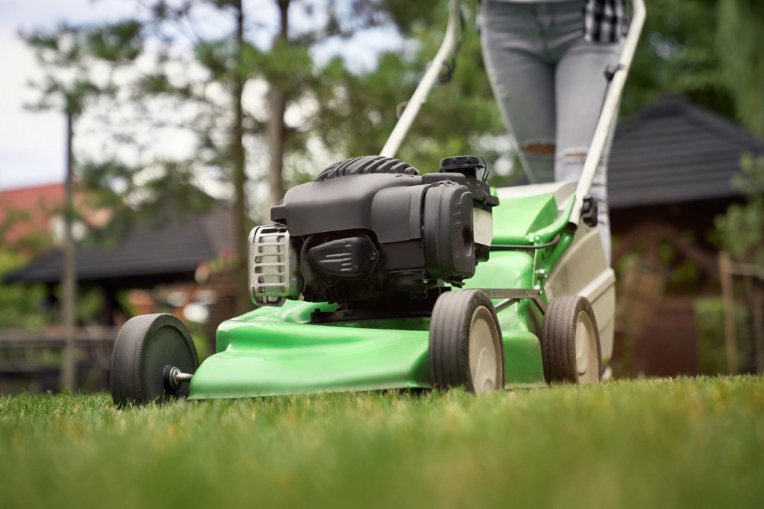 The Importance of Timely Tree Trimming and Lawn Care for Aesthetic Appeal